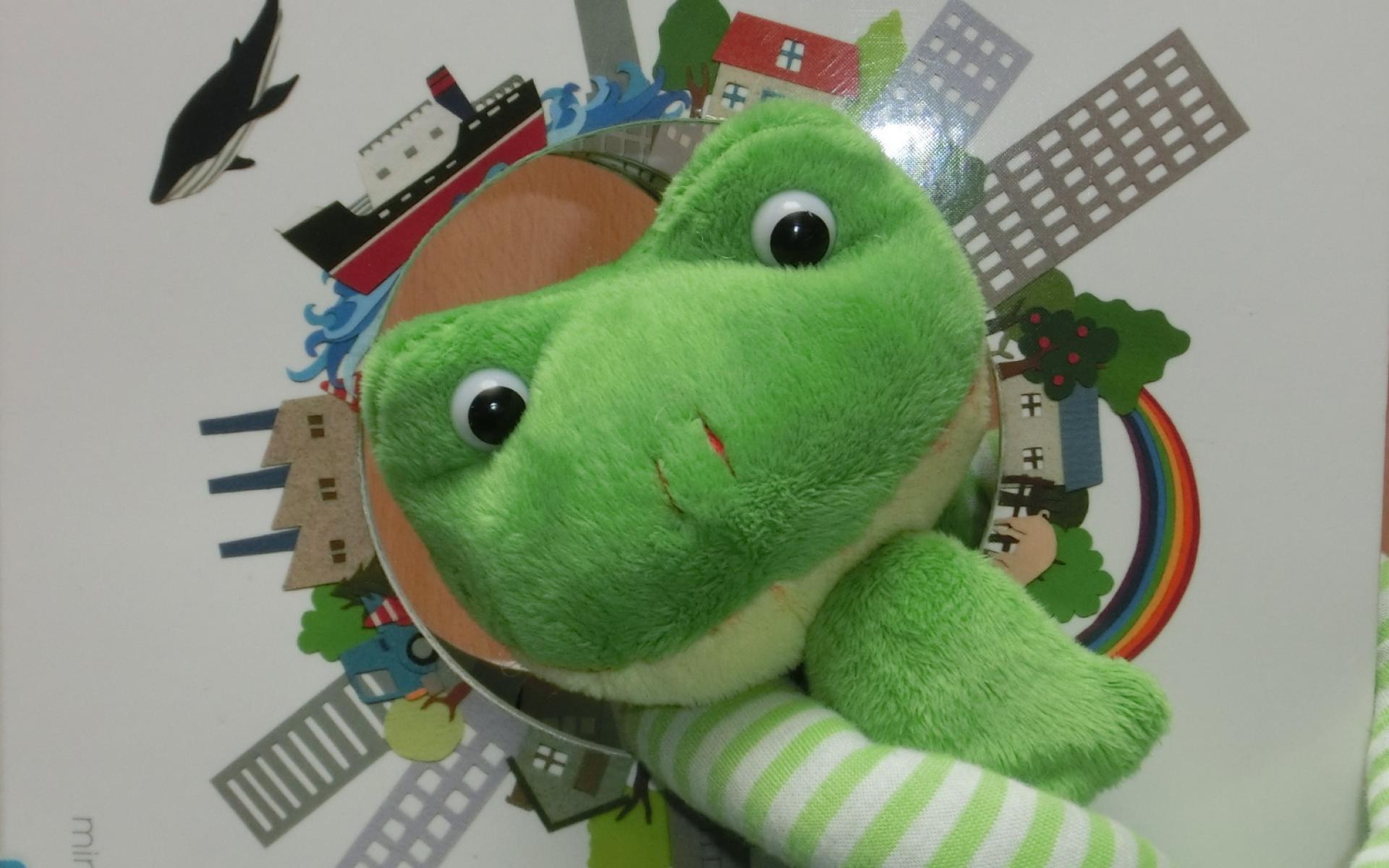 Frosch blickt aus Buch Unsere Erde